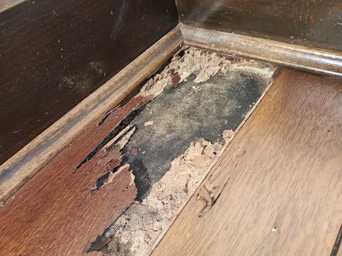 Empire Termite & Pest Control Picture 8