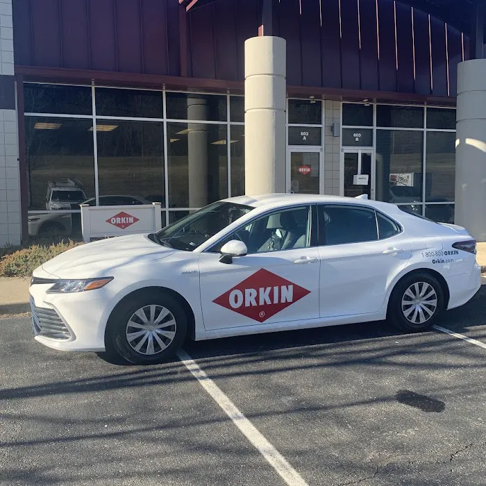 Orkin Picture 2