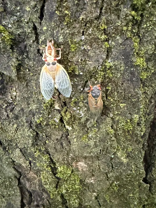 Towne Pest Control, Inc. Picture 7
