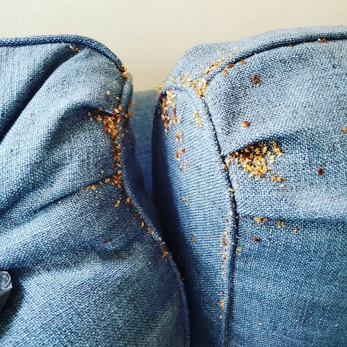Bed Bug Solutions Picture 7