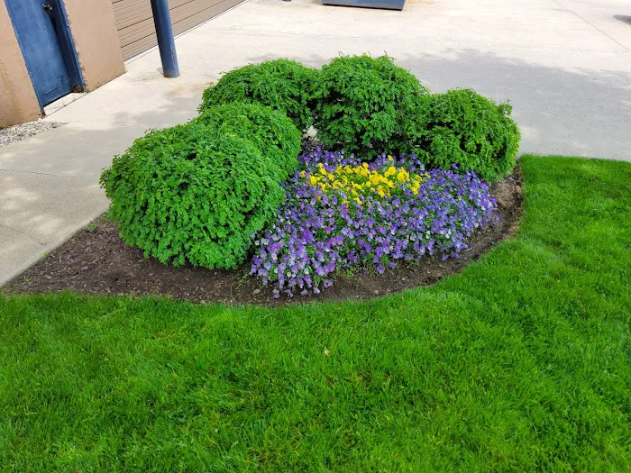 TURFMASTER Picture 4