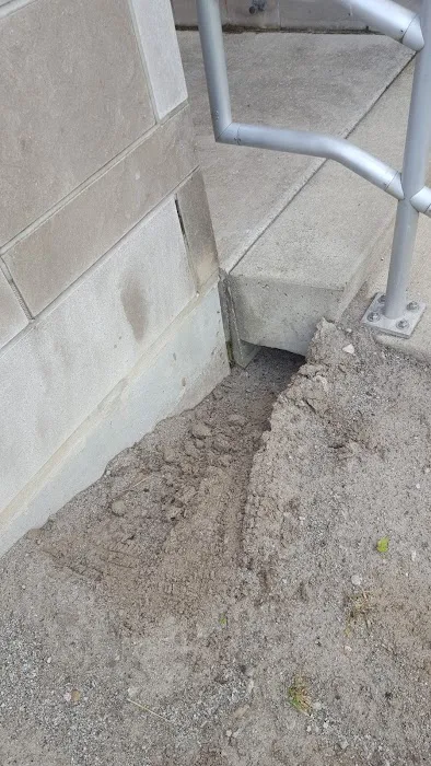 Mole Control LLC Picture 5