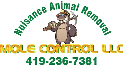 Mole Control LLC Picture 4