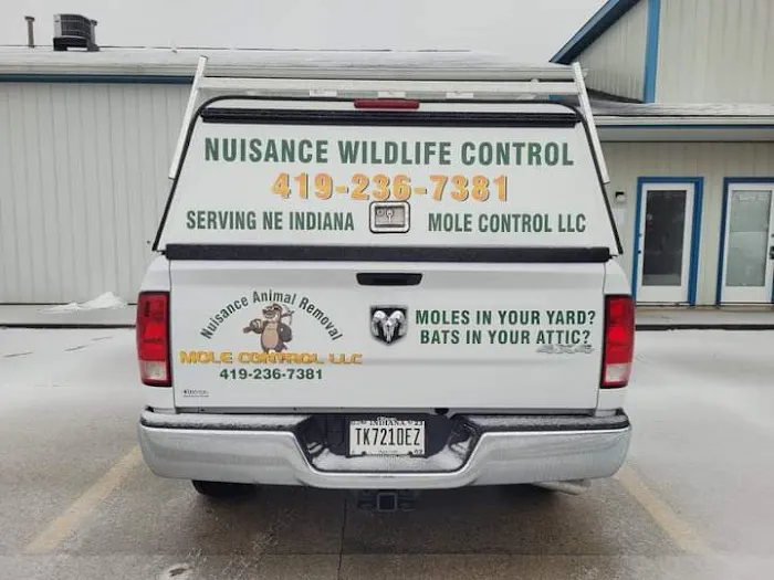 Mole Control LLC Picture 3