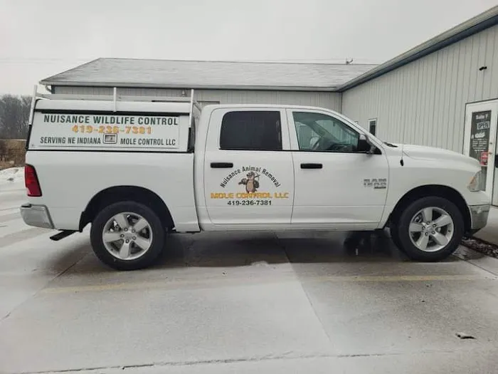 Mole Control LLC Picture 6