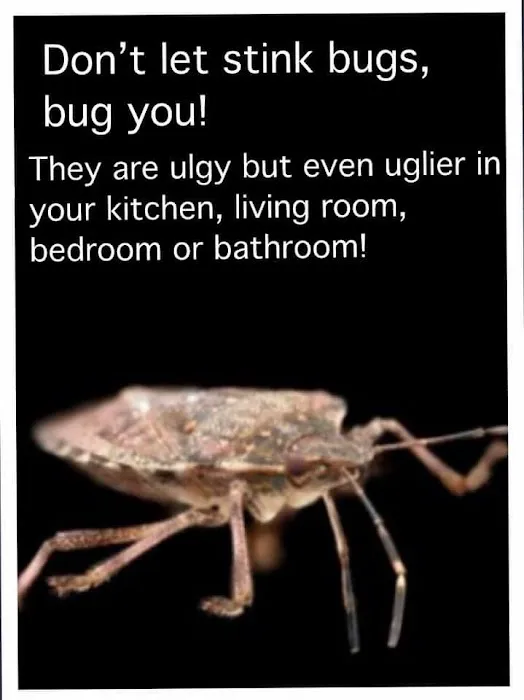 JC PEST CONTROL LLC Picture 3