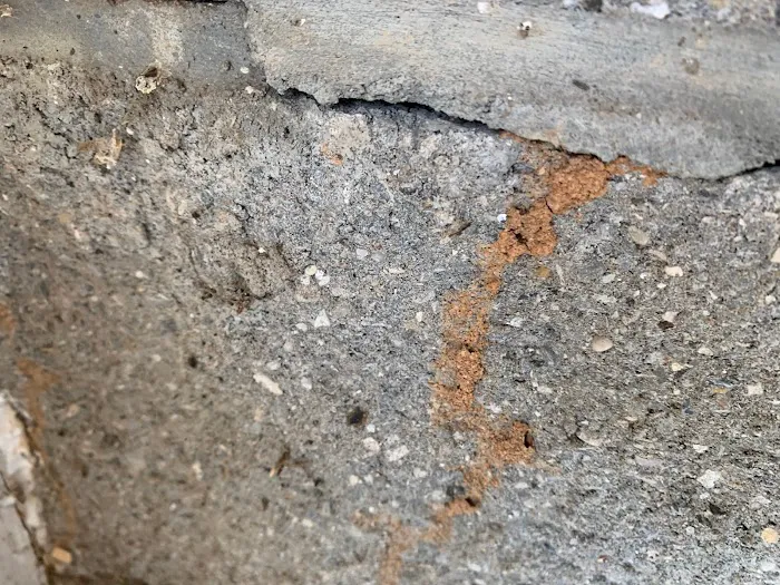 Dunlap Termite and Pest Control Picture 2