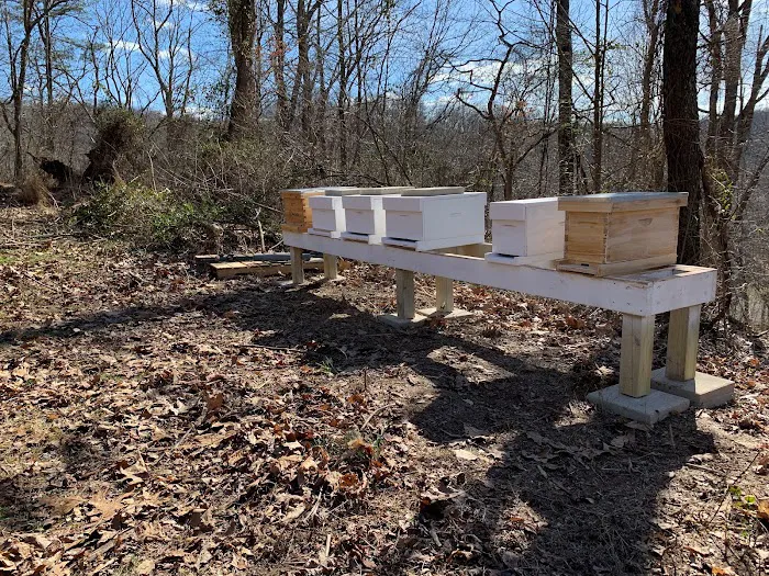 The Bee Acres LLC Picture 3