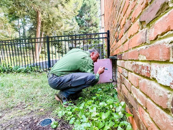 Noosa Pest Management LLC Picture 1