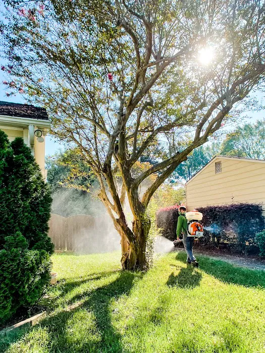 Noosa Pest Management LLC Picture 9