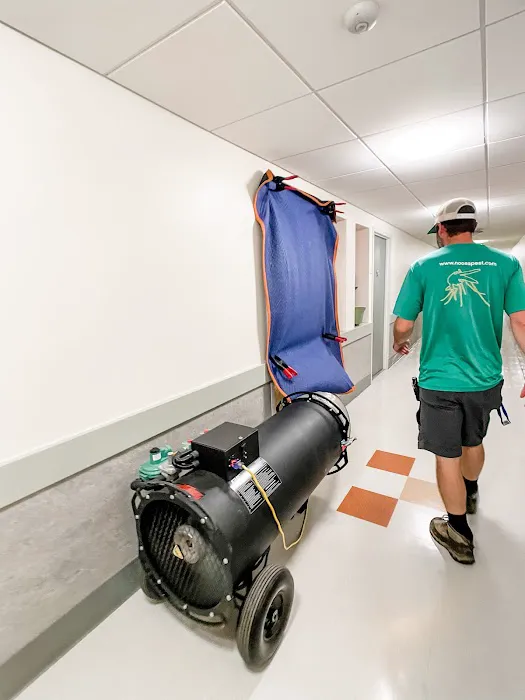 Noosa Pest Management LLC Picture 7