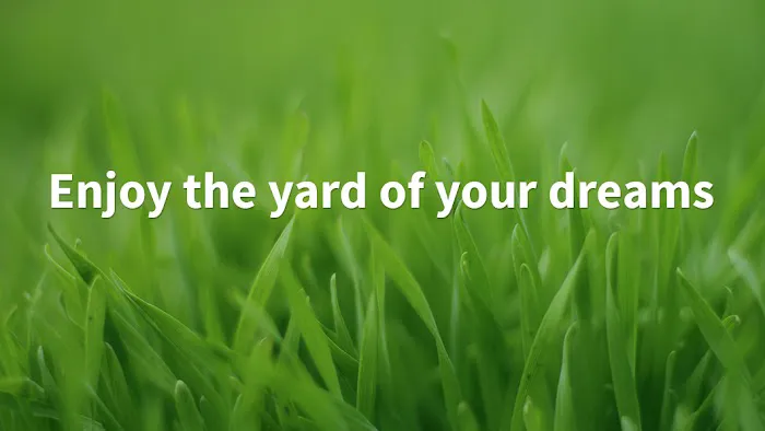 Tailor Made Lawns Picture 3