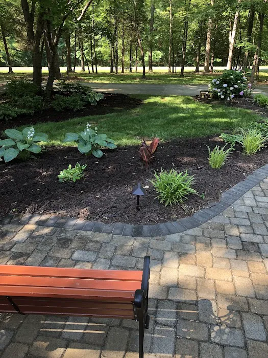 Tailor Made Lawns Picture 8