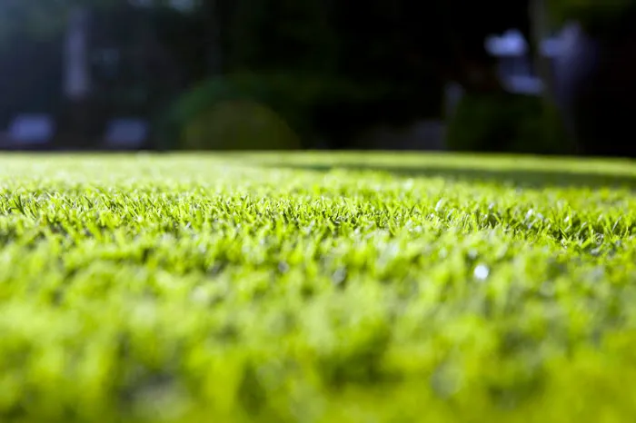 Tailor Made Lawns Picture 7