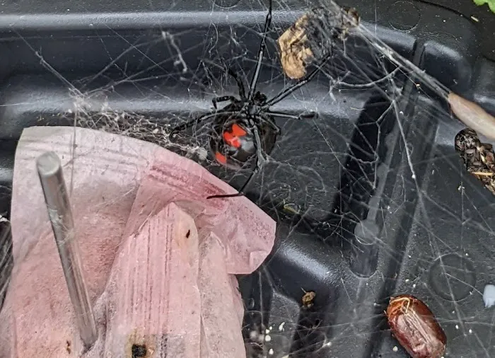Mize Pest Control Picture 1