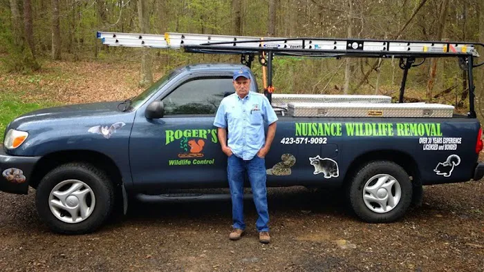 Roger's Wildlife Control LLC Picture 1