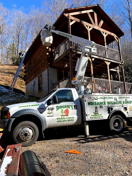 Roger's Wildlife Control LLC Picture 2