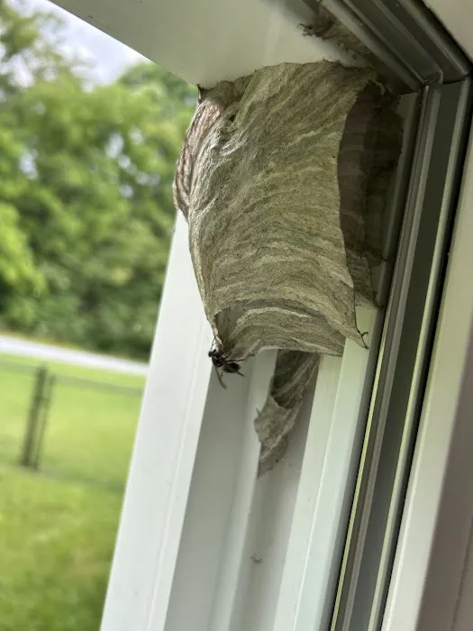 Tilley Pest Control Picture 6