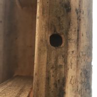 Ranger Pest Control ico