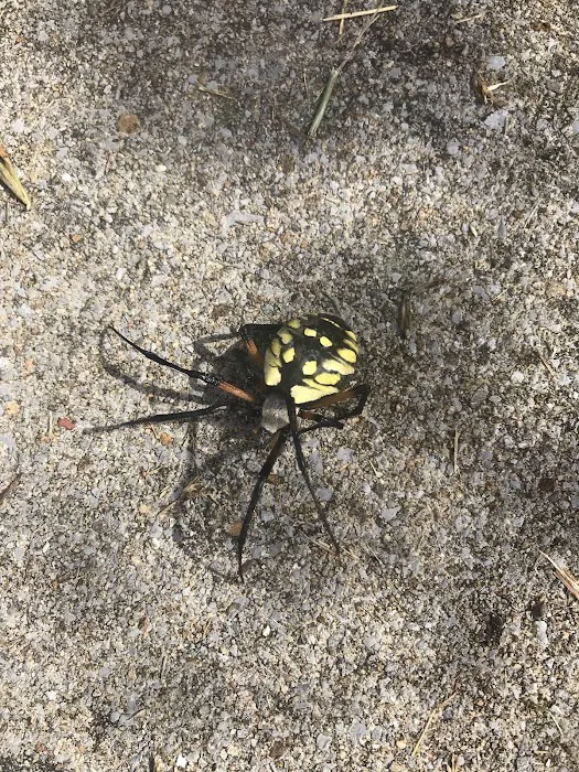 Ranger Pest Control Picture 10