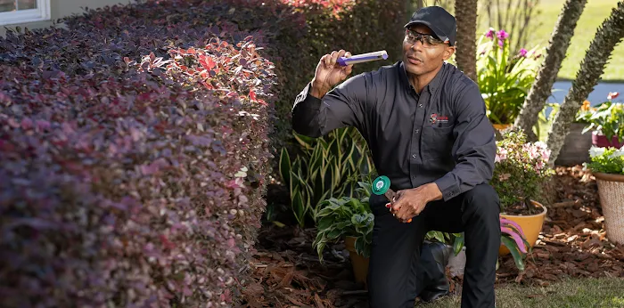 Leo's Pest Control Picture 3
