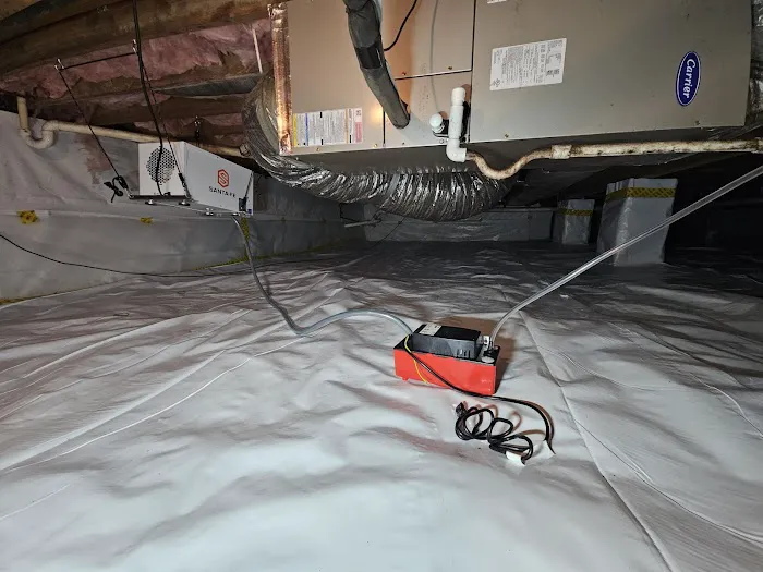 Massey Services Pest Control Picture 1