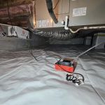 Massey Services Pest Control