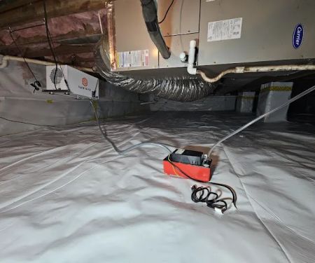 Massey Services Pest Control