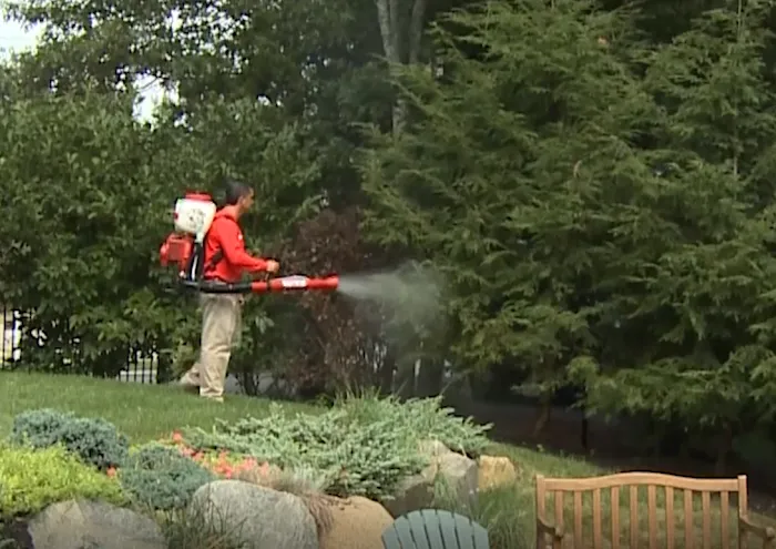 Mosquito Shield of Johnson City Picture 10