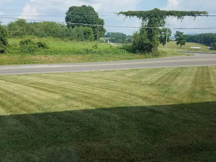 Safe-Way Pest Control Inc Picture 2