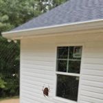 Firefly Pest Control