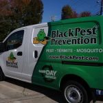 Black Pest Prevention, Inc.