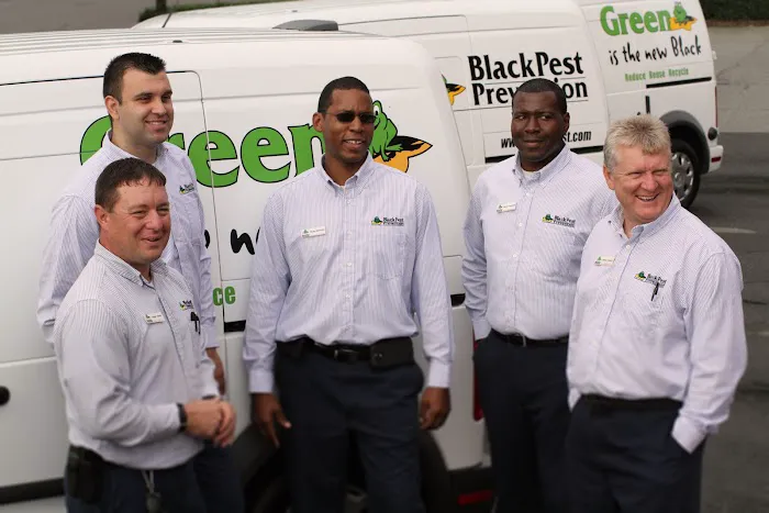 Black Pest Prevention, Inc. Picture 5