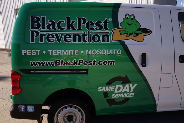 Black Pest Prevention, Inc. Picture 8