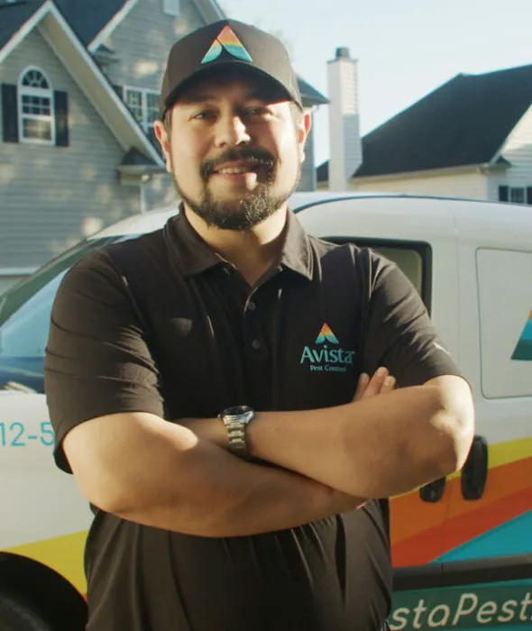 Avista Pest Control Charlotte Picture 2