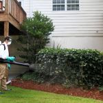 A1 Bed Bug Exterminator Charlotte