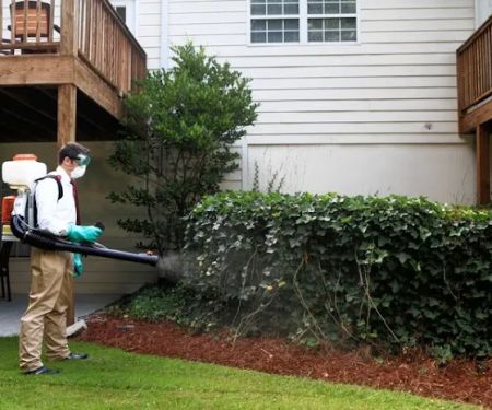 A1 Bed Bug Exterminator Charlotte