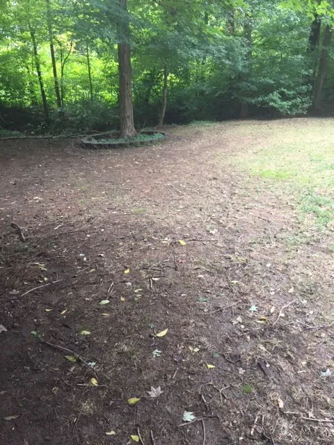 Killingsworth Environmental - Pest Control and Lawn Care Services Picture 1