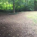 Killingsworth Environmental - Pest Control and Lawn Care Services