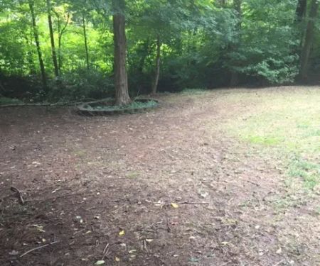 Killingsworth Environmental - Pest Control and Lawn Care Services