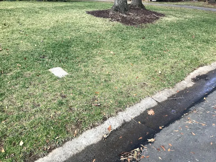 Killingsworth Environmental - Pest Control and Lawn Care Services Picture 2
