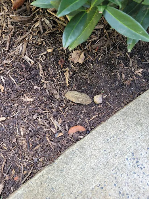 Clint Miller Exterminating Inc Picture 6