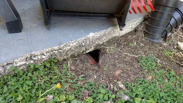 A-1 Pest Control Picture 1