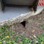 A-1 Pest Control