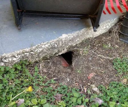 A-1 Pest Control