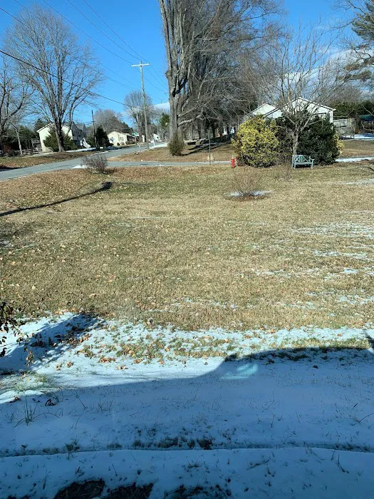 A-1 Pest Control Picture 6