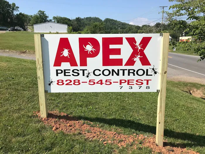 Apex Pest Control Asheville Picture 10