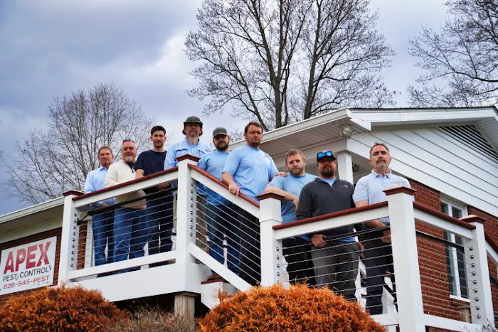 Apex Pest Control Asheville Picture 1