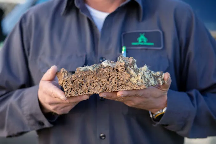 Noble Pest Solutions Picture 6