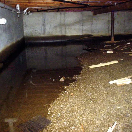 Hunt Pest Service Picture 2